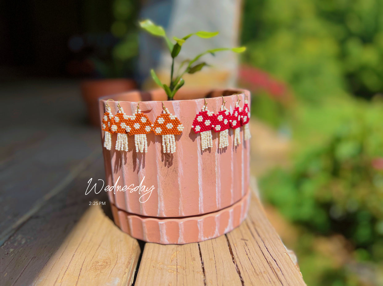 Mini mushrooms π (can be custom)! MSG if interested!